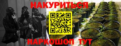 индика Бузулук