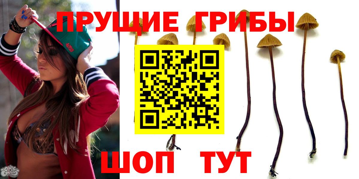 Малоярославец  Галлюциногенные грибы Psilocybine cubensis  Галлюциногенные грибы ЛСД  Вход с VPN 